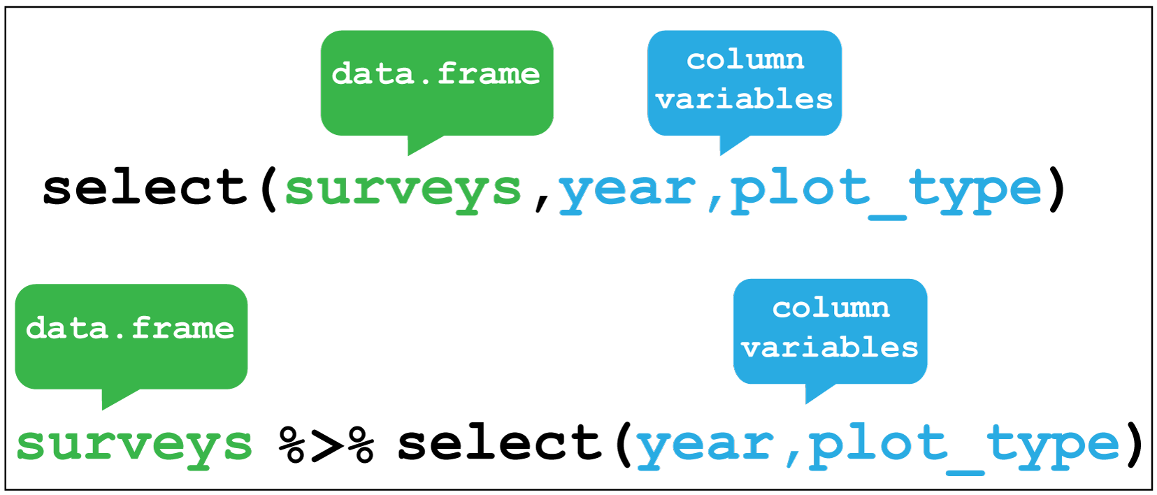 dplyr::select()