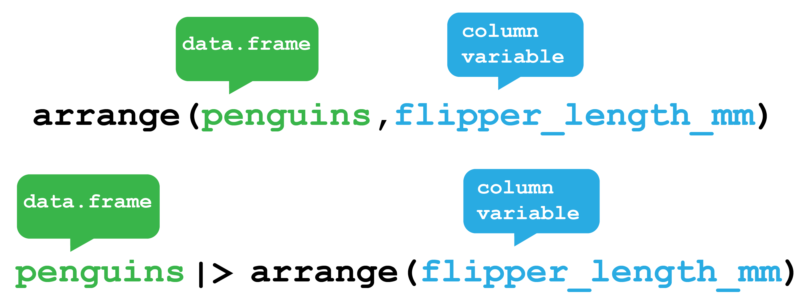 The dplyr arrange function. The arrange function orders rows from your data frame according to column variables. Here it will order the Palmer Penguins data.frame according to their flipper length. The function can either be used by providing the `penguins` dataframe as the first argument to the function or by passing the `penguins` dataframe via a pipe.
