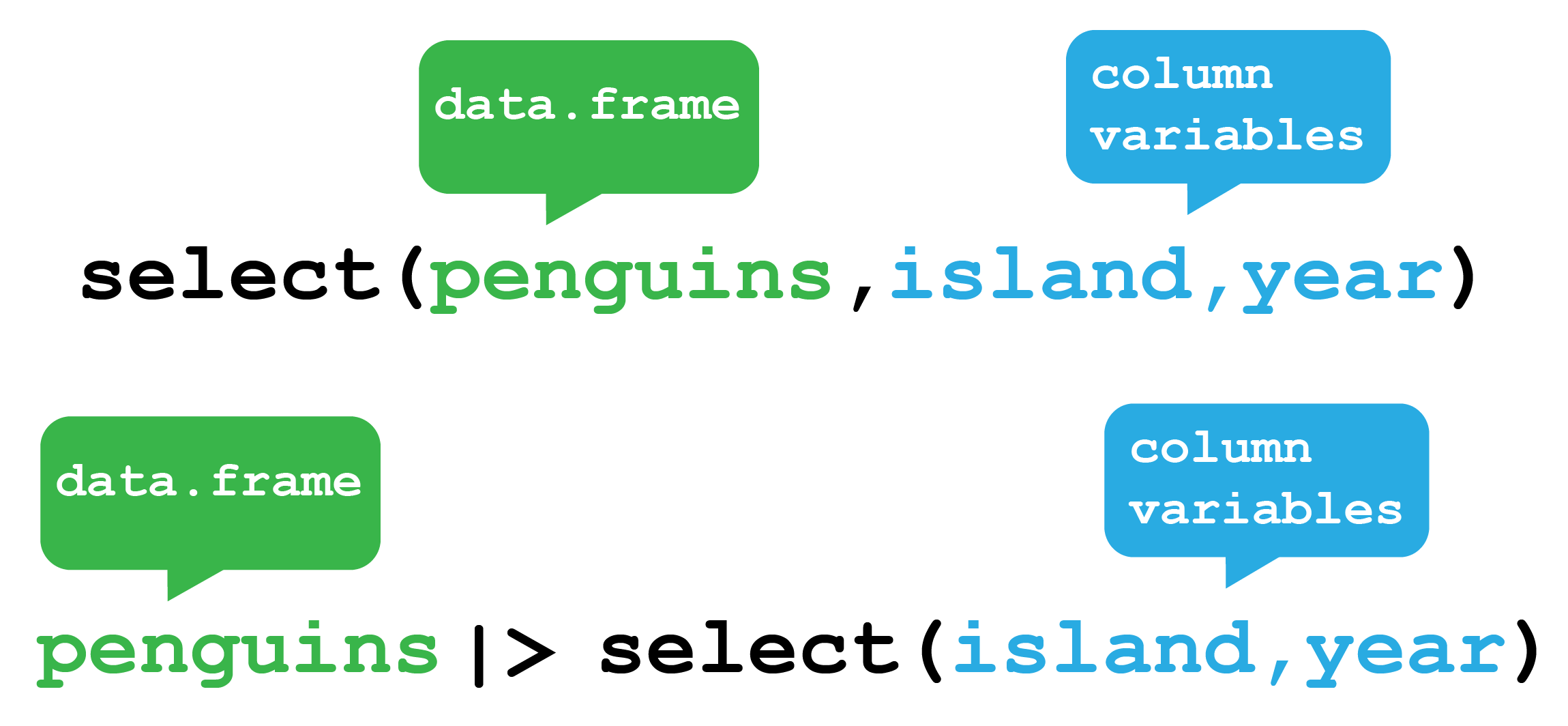 The `dplyr select` function. This function selects columns from your data frame. Here it will select the island and year columns from Palmer Penguins data.frame. The function can either be used by providing the `penguins` data.frame as the first argument to the function or by passing the `penguins` data.frame via a pipe.